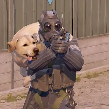 Гравець Counter-Strike 2 несе собаку на плечах на мапі Shelter